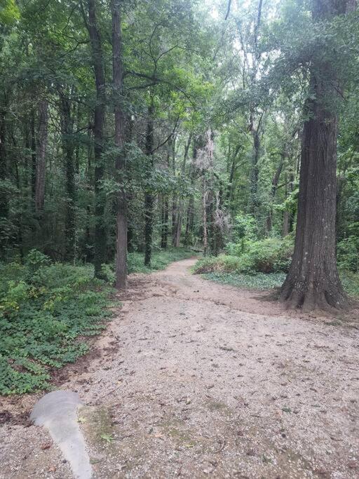 Spotless 4Br Near Clt Uptown, Fast Wi-Fi Apartment Charlotte Exterior photo
